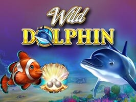 Wild Dolphin